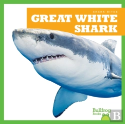 Bertrand.pt - Great White Shark