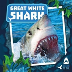 Bertrand.pt - Great White Shark