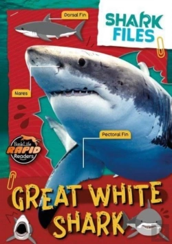 Bertrand.pt - Great White Shark