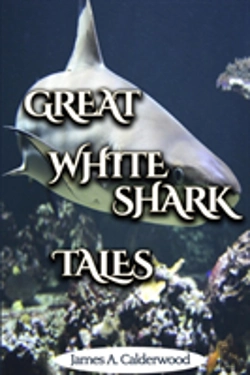 Bertrand.pt - Great White Shark Tales