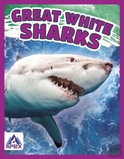 Bertrand.pt - Great White Sharks
