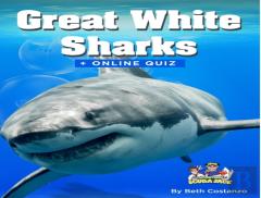 Great White Sharks