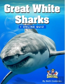 Bertrand.pt - Great White Sharks