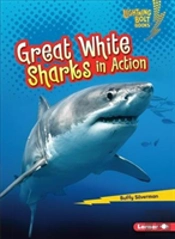 Great White Sharks In Action
