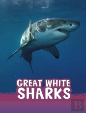 Great White Sharks