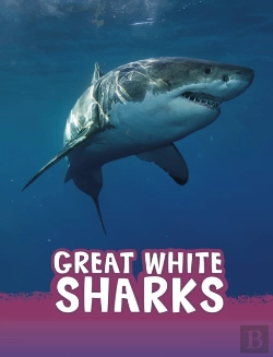 Bertrand.pt - Great White Sharks