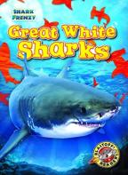Great White Sharks