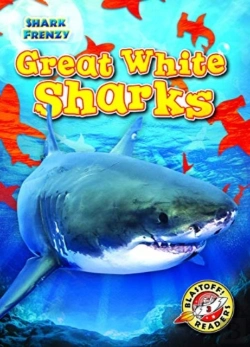 Bertrand.pt - Great White Sharks