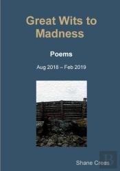 Great Wits To Madness
