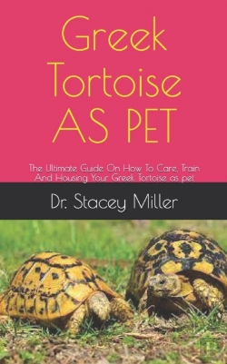 Bertrand.pt - Greek Tortoise As Pet