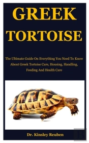 Greek Tortoise