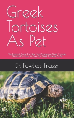 Bertrand.pt - Greek Tortoises As Pet