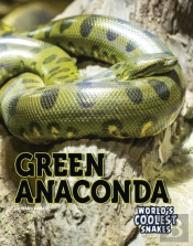 Green Anaconda