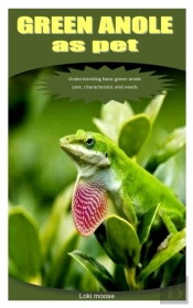 Green Anole As Pet