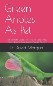 Green Anoles As Pet