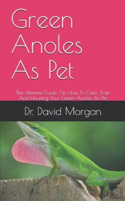 Bertrand.pt - Green Anoles As Pet