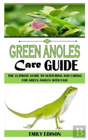 Green Anoles Care Guide