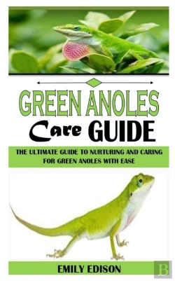 Bertrand.pt - Green Anoles Care Guide