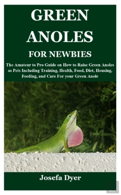 Bertrand.pt - Green Anoles For Newbies
