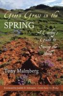 Green Grass In The Spring