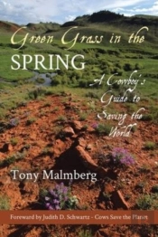 Green Grass In The Spring
