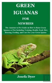 Green Iguanas For Newbies
