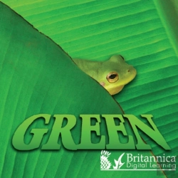 Bertrand.pt - Green