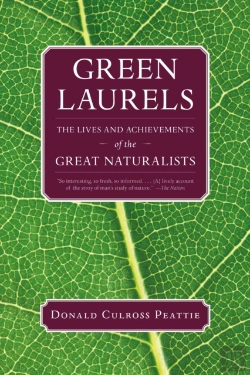 Bertrand.pt - Green Laurels