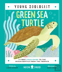 Bertrand.pt - Green Sea Turtle (Young Zoologist)