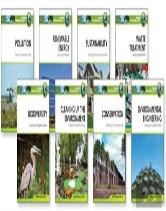 Green Technology Set