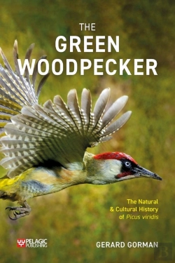 Bertrand.pt - Green Woodpecker