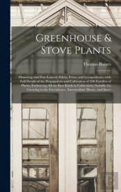 Greenhouse   Stove Plants  Flowering And