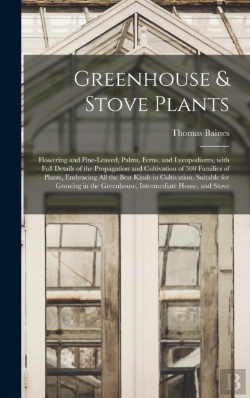 Bertrand.pt - Greenhouse   Stove Plants  Flowering And