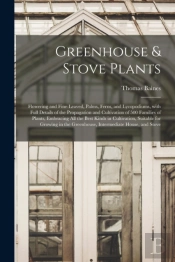 Greenhouse   Stove Plants  Flowering And