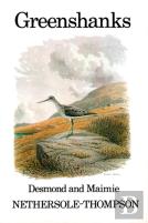Greenshanks