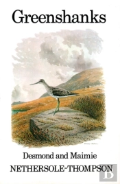 Greenshanks