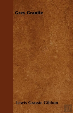 Bertrand.pt - Grey Granite
