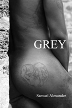 Bertrand.pt - Grey