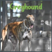 Greyhound Calendar 2022