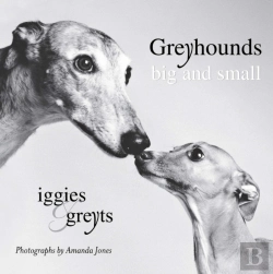 Bertrand.pt - Greyhounds Big And Small