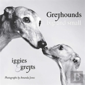Greyhounds Big & Small