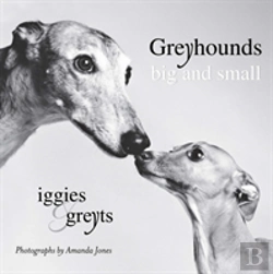 Bertrand.pt - Greyhounds Big & Small