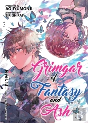 Grimgar Of Fantasy And Ash (Light Novel) Vol. 13