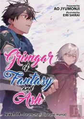 Grimgar Of Fantasy And Ash (Light Novel) Vol. 14