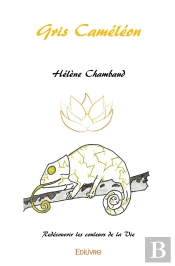 Gris Caméléon