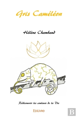 Bertrand.pt - Gris Caméléon