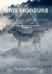 Gris Morsure - Tome 1
