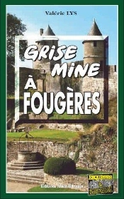 Grise Mine À Fougères