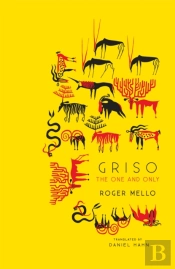 Griso