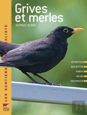 Grives Et Merles